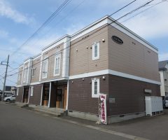 サンフラワー 201